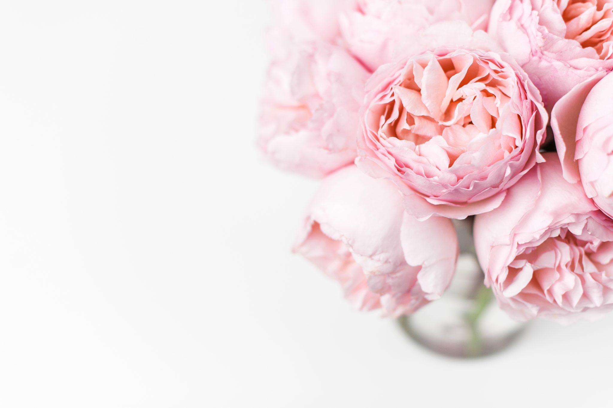 Small business marketing strategies. How to maximise the effects of your content creation efforts. Jessica Fearnley. Business Coach. 